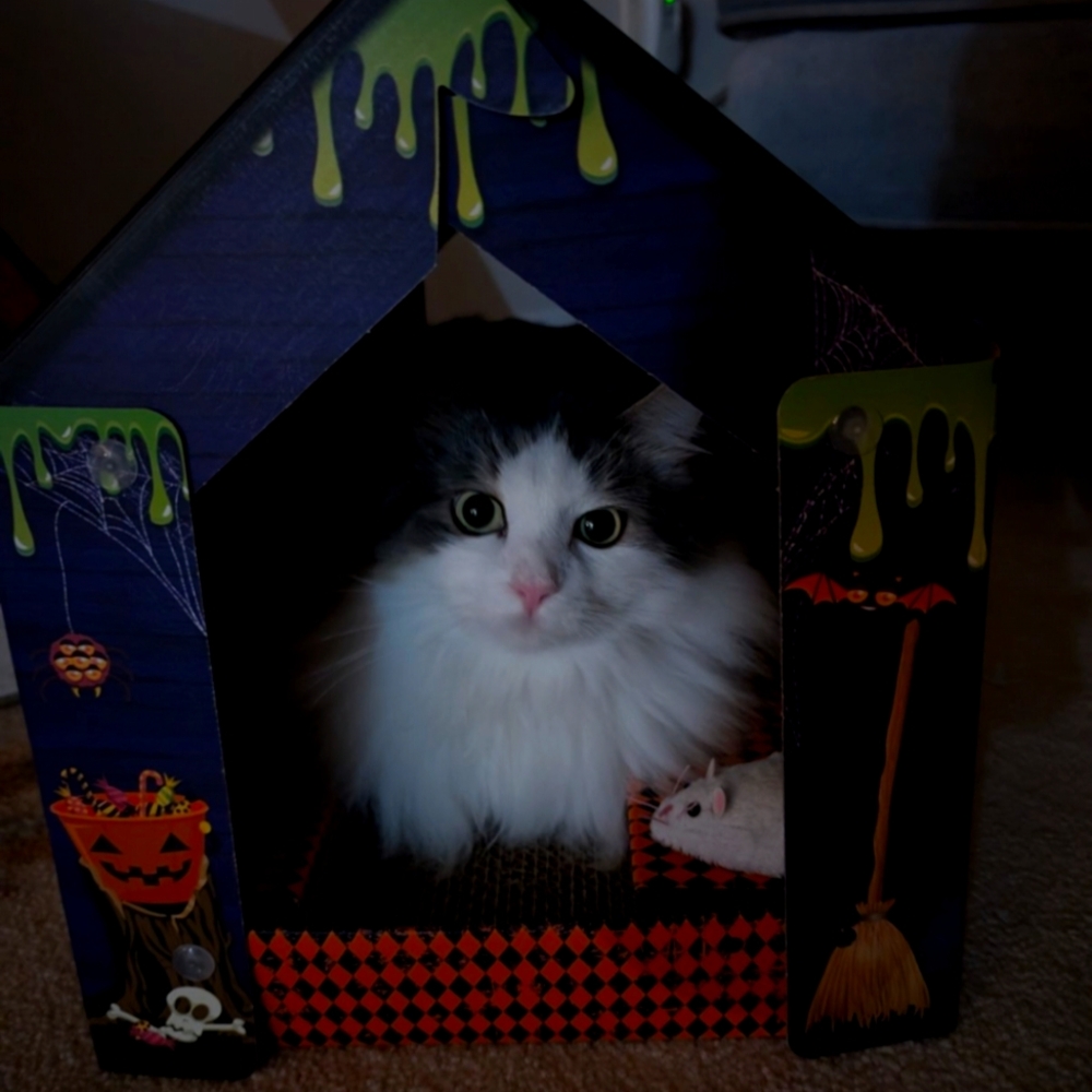 All Sorts Of Good Stuff